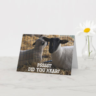 WE "SAVED YOU A PIECE OF CAKE" BIRTHDAY CARD