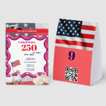 We The Silly Geese 250th Funny Celebration