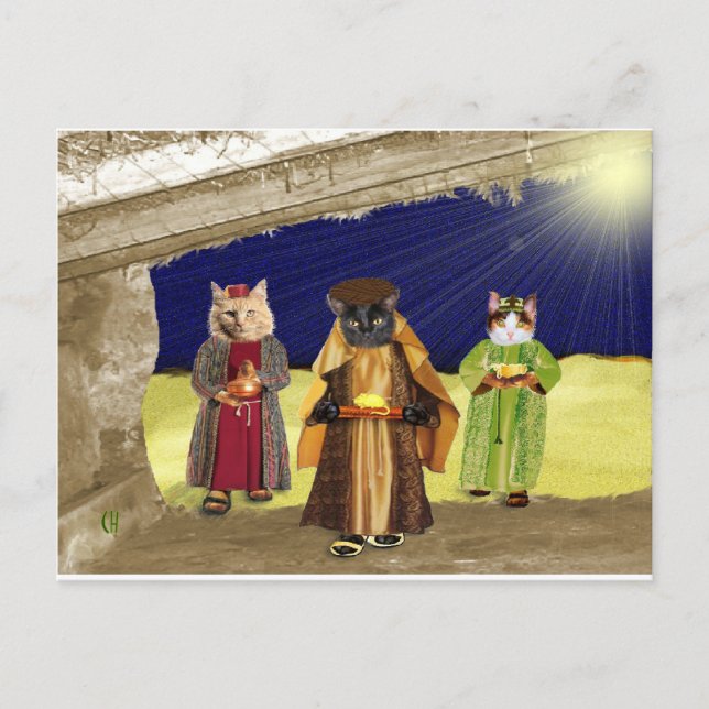 We Three Cats Postcard (Front)