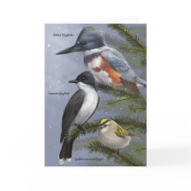 'We Three Kings' Holiday Bird Card