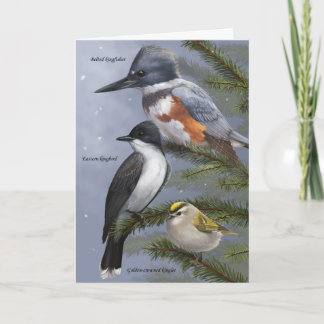 'We Three Kings' Holiday Bird Card