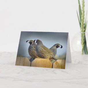 We Three Quail Card