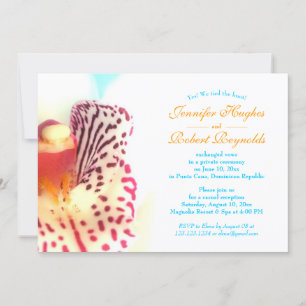 We Tied The Knot Beach Elopement Announcement