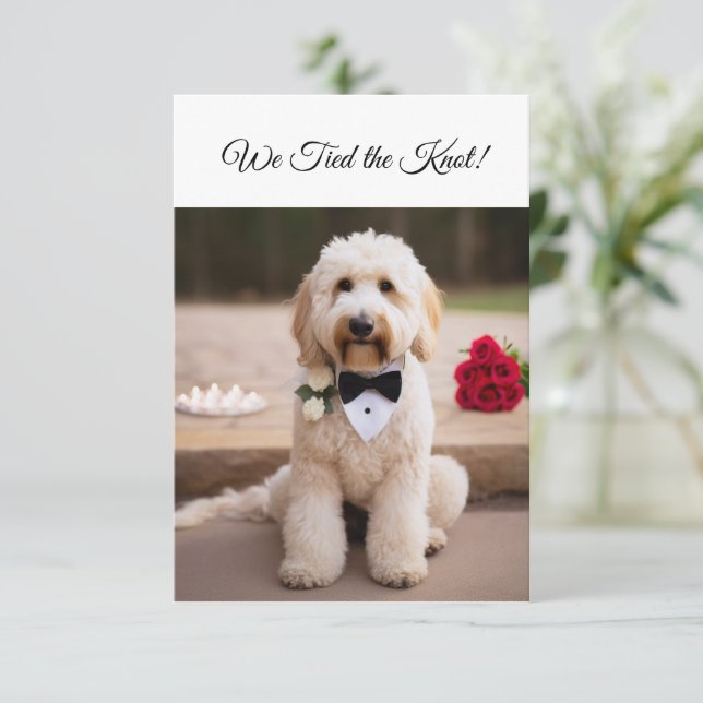 We tied the knot engagement announcement Cute Dog (Standing Front)