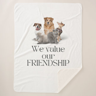 We value your friendship sherpa blanket