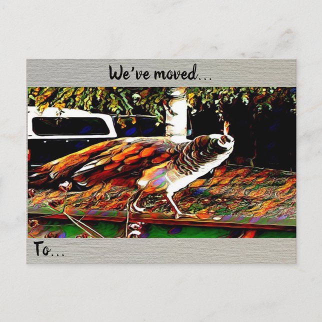 ‘We’ve Moved’ Postcard (Front)