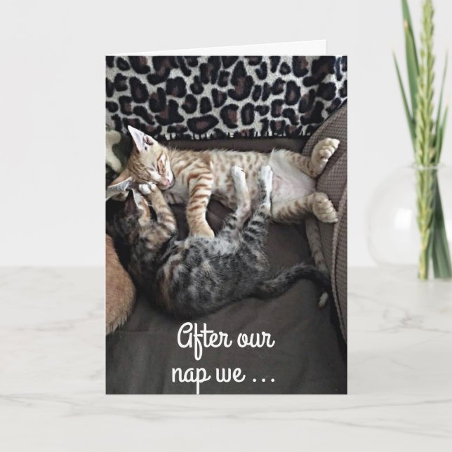 **WE WILL SING HAPPY BIRTHDAY** FROM CUTE KITTENS CARD (Front)