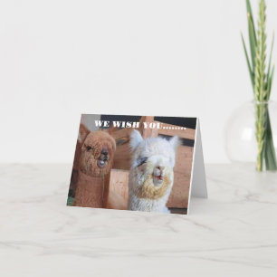 **WE** WISH **YOU** THE BEST BIRTHDAY EVER! CARD