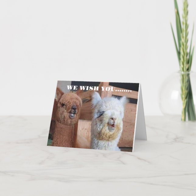 **WE** WISH **YOU** THE BEST BIRTHDAY EVER! CARD (Front)