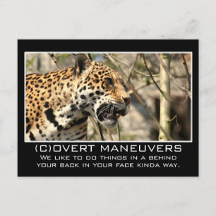 We would never hide anything from you postcard