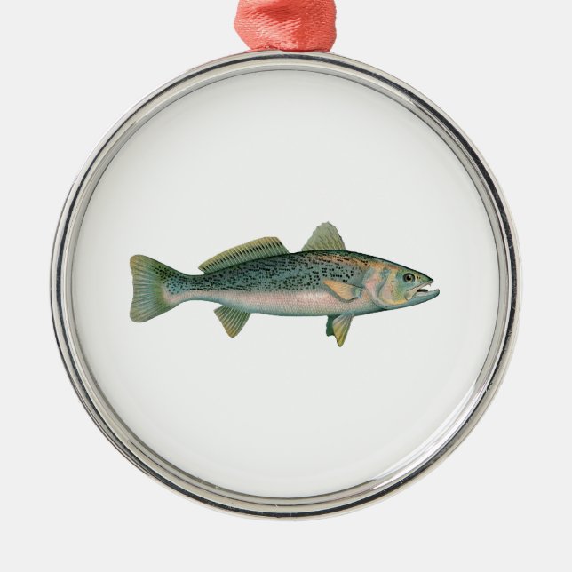 Weakfish - Seatrout - Squeteague Metal Tree Decoration (Front)