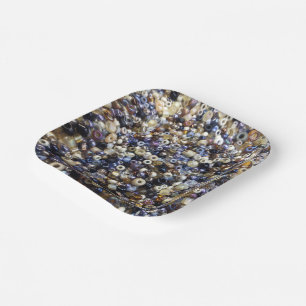 Wealth Of Seed Beading  Paper Plate