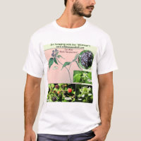 Wear Wild Black Raspberries