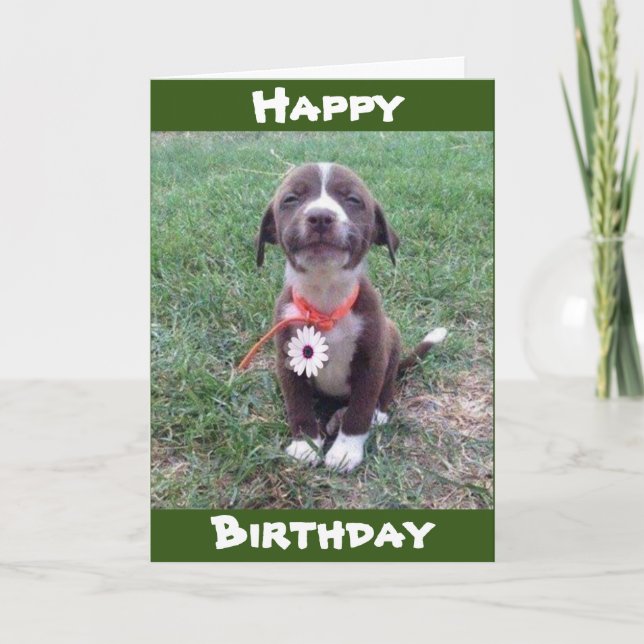 ***WEARING A DAISY JUST FOR YOU*** HAPPY BIRTHDAY CARD (Front)