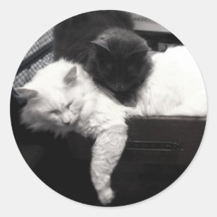 Weary Travellers Classic Round Sticker