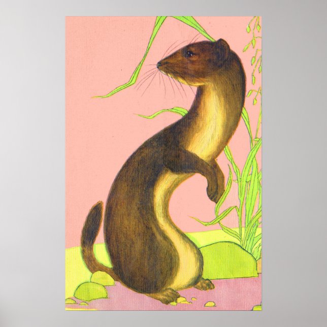 weasel print (Front)