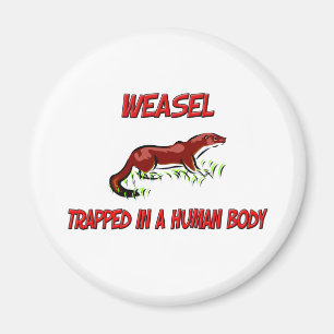 Weasel trapped in a human body magnet