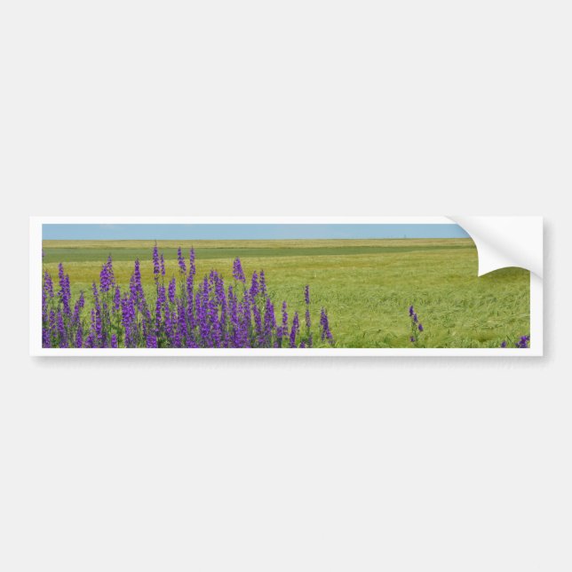 Weat Fields with Purple Wild Flowers Bumper Sticker (Front)