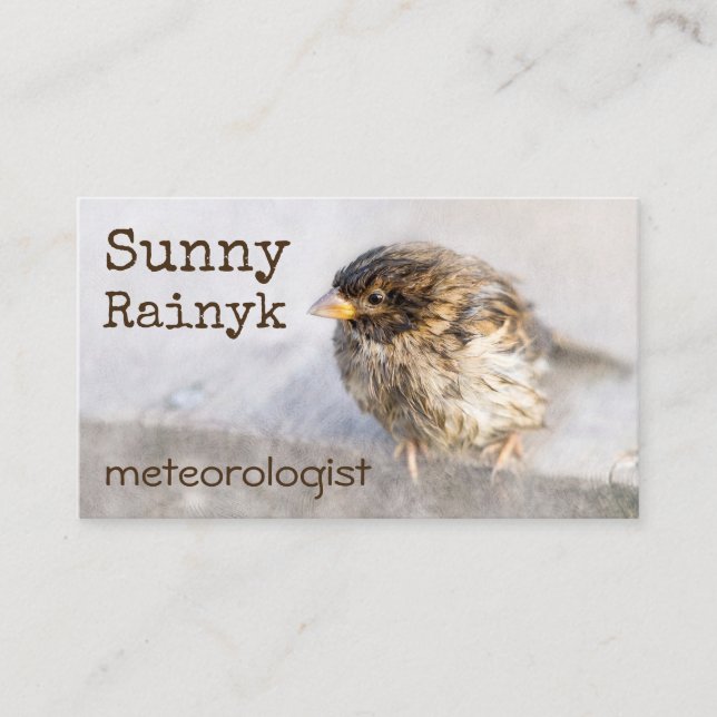 Weather Forecast Funny Customisable Business Card (Front)
