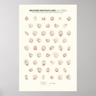 Weather Portraits 2015: U.S. Cities Poster