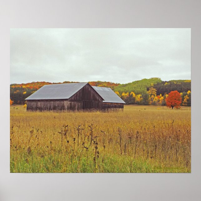 "WEATHERED BARN, GOLDEN FIELD, FALL COLOR" POSTER (Front)