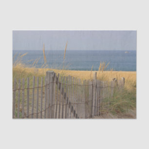 Weathered beach fence and dune grass at the beach tissue paper