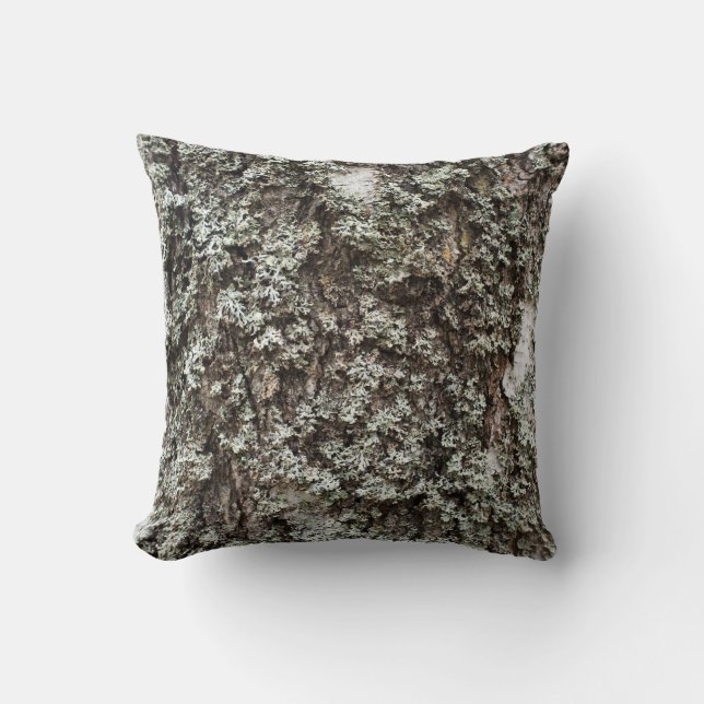 Weathered birch bark cushion (Front)