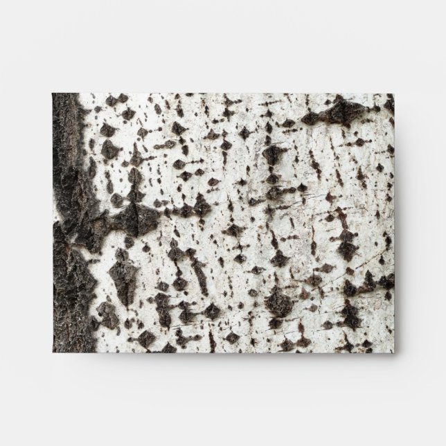 Weathered birch trunk envelope (Front)