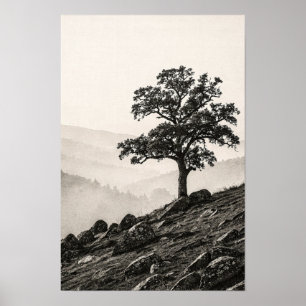 Weathered Oak Above a Misty Valley Poster