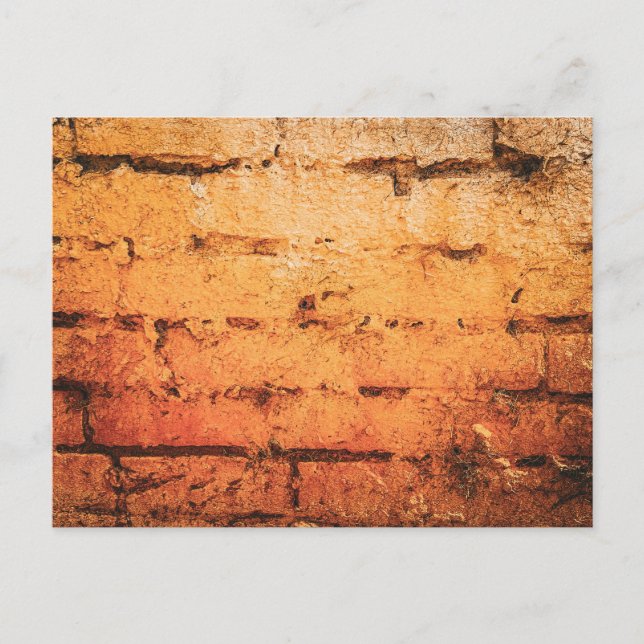 Weathered Orange Brick Wall Postcard (Front)