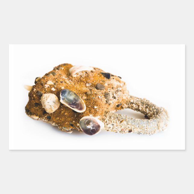 Weathered padlock rectangular sticker (Front)