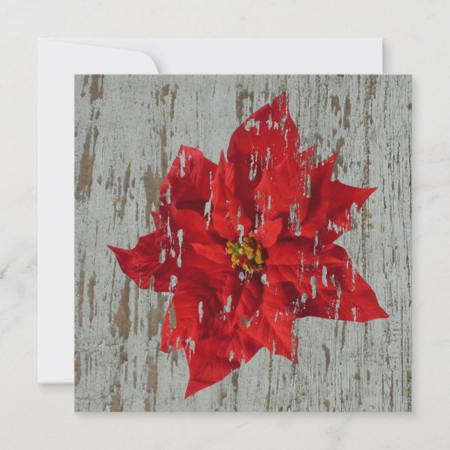 Weathered Poinsettia Winter / Christmas Wedding Invitation (Front)