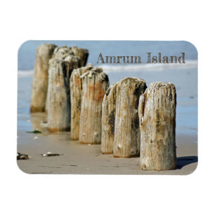 Weathered Posts in Sand on Beach, Amrum Island Magnet