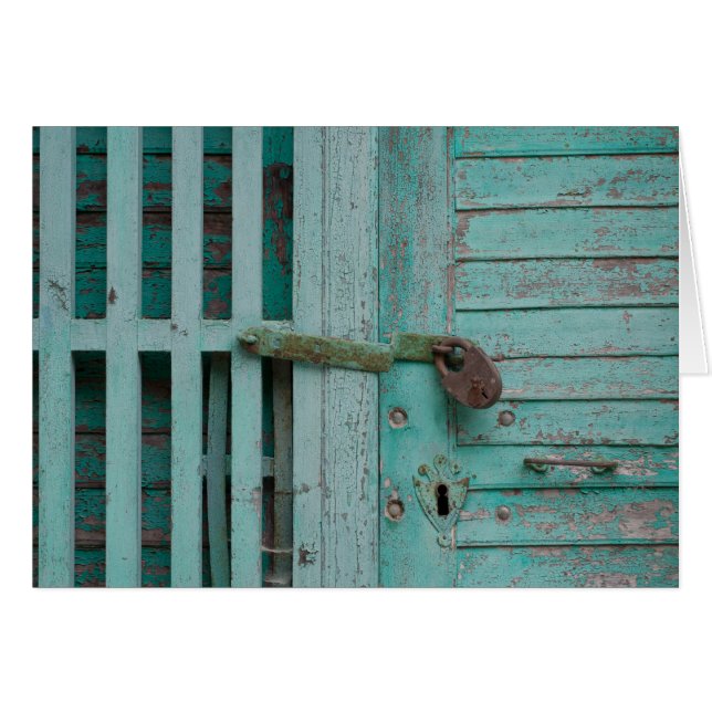 Weathered Turqouise Door (Front Horizontal)