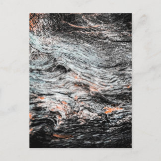 Weathered Wood Postcard