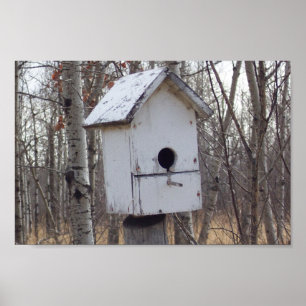 weathered wooden bird house by Kim Newberg poster