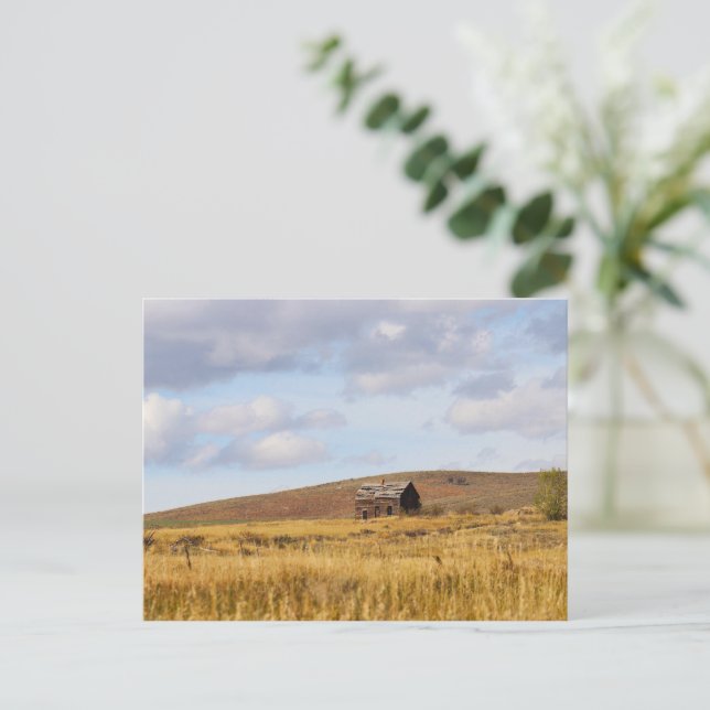 Weathering the Stillness  Postcard (Standing Front)
