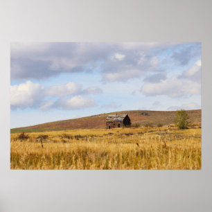Weathering the Stillness Poster