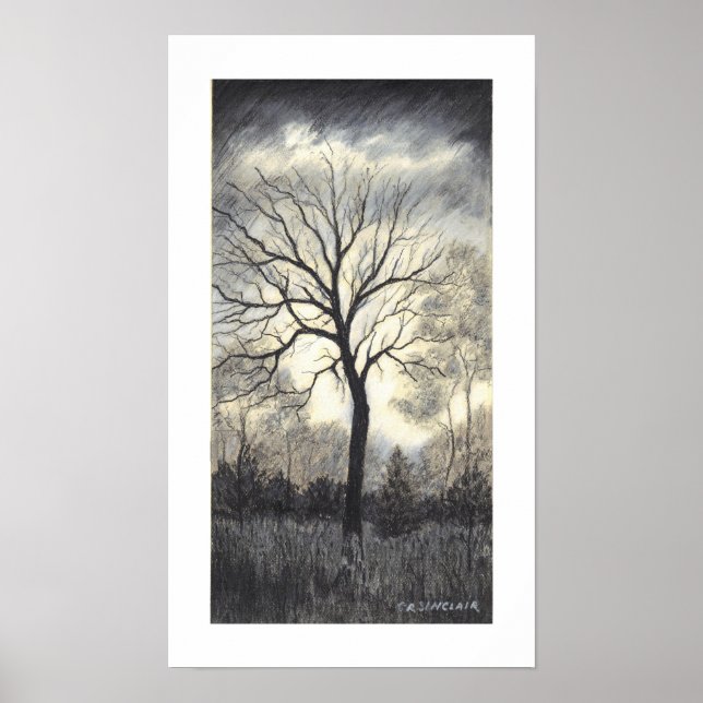 WEATHERING the STORM by CR SINCLAIR Poster (Front)