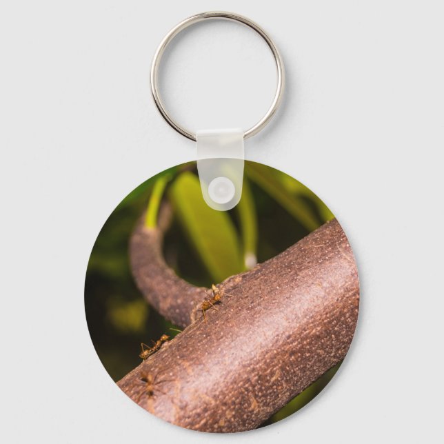 Weaver Ants on a Wood Key Ring (Front)