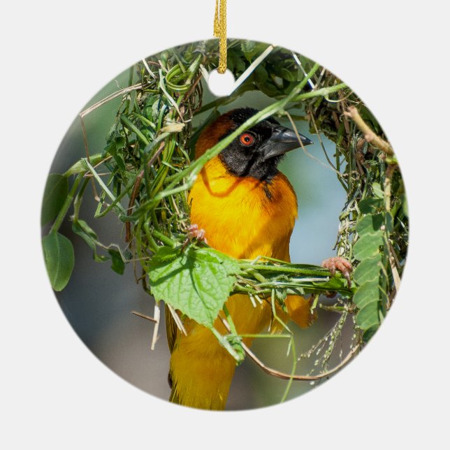 Weaver Bird Building Nest Ceramic Ornament (Back)