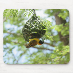 Weaver bird, Nest, Kalahari desert Mouse Pad