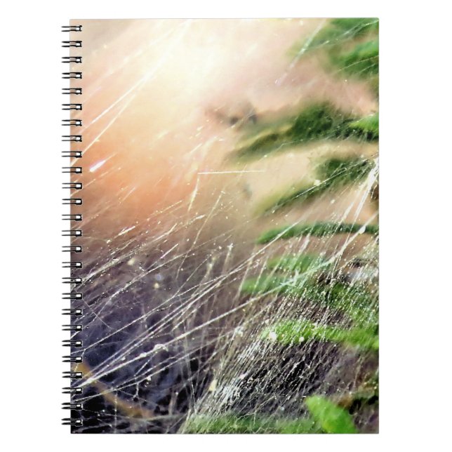 Web design - notebook (Front)