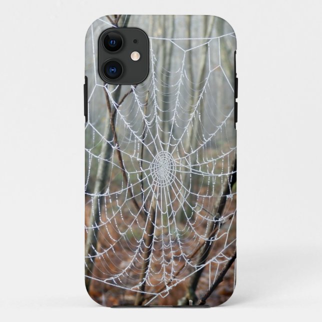 Web of European Garden Spider iPhone Case (Back)