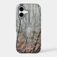 Web of European Garden Spider iPhone Case