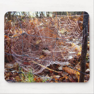 Web of European Garden Spider Mouse Mat