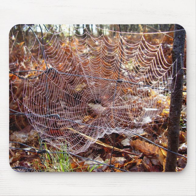 Web of European Garden Spider Mouse Mat (Front)
