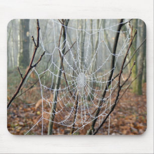 Web of European Garden Spider Mpuse Mat Mouse Pad