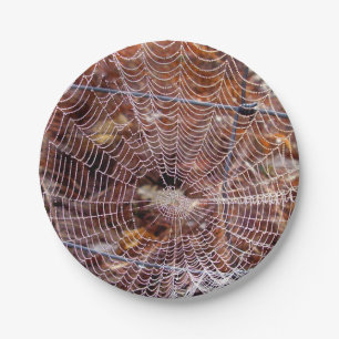 Web of European Garden Spider Paper Plate