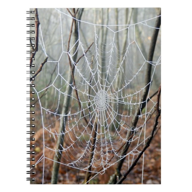 Web of European Garden Spider Photo Notebook (Front)